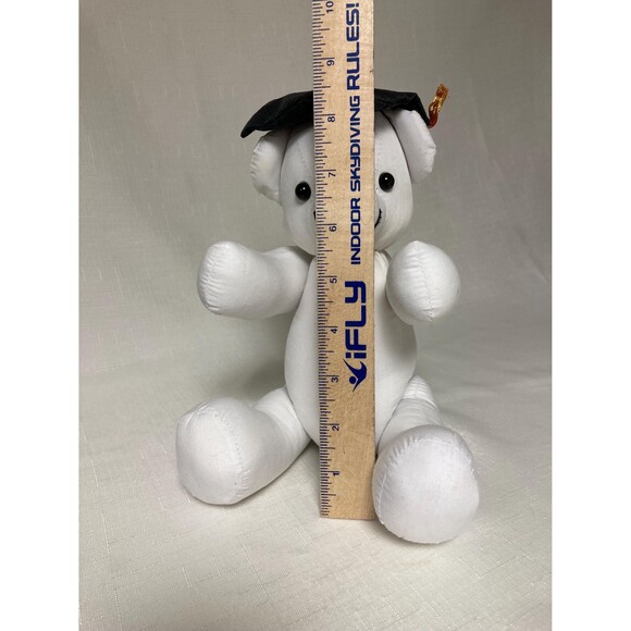 Graduation Party Autograph Bear Class of 2025 Signature Yearbook Keepsake Senior - Picture 6 of 8